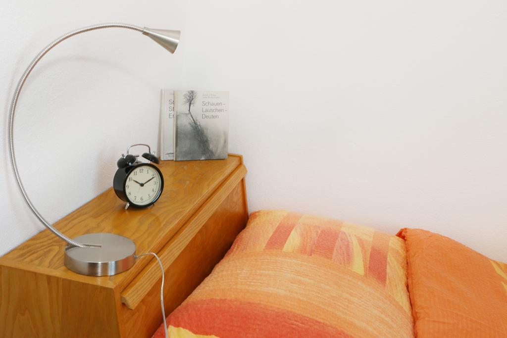Allegro Alpin Lodge アインジーデルン 部屋 写真